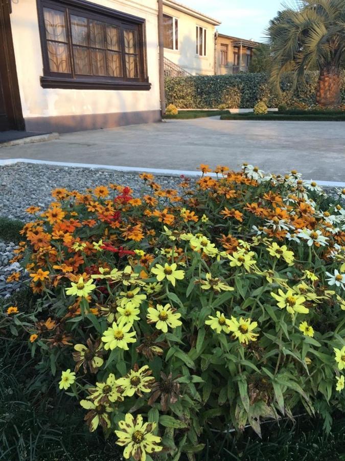 Green Garden Zugdidi Exterior foto